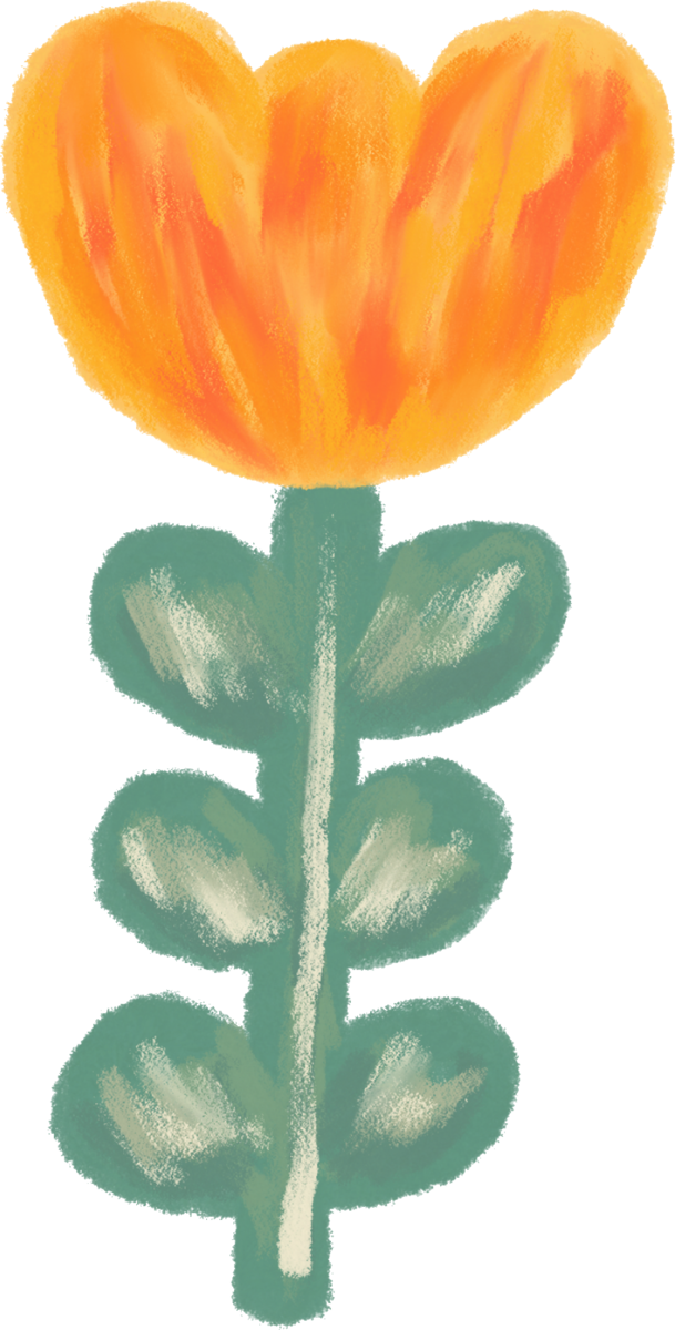 Illustration of an orange tulip with leafy stem